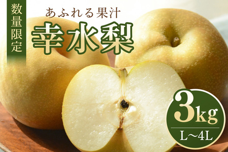 【数量限定・先行予約】 梨 幸水 3kg L～4L 7～10玉 なし ナシ 果物 フルーツ 国産 【8月10日～9月末発送予定】 70-L