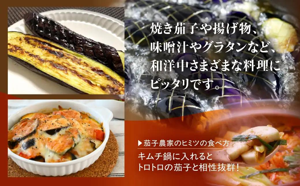 《先行予約》とげなし輝楽×とろ～り旨なす 食べ比べセット 各4本 計8本 茄子 なす 白茄子 白なす 白ナス ナス 旨い 甘い 艶 ツヤ ハリ 揚げ物 揚げ茄子 焼茄子 麻婆茄子 輝楽 愛知県 豊橋市