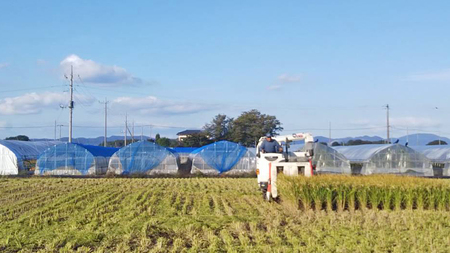 地下水100％で作る美味しい 「 コシヒカリ 」 10kg 米 お米 白米 コメ こしひかり 茨城県 精米 新生活 応援 [DU003ci]