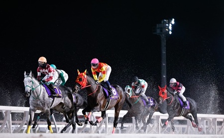 門別競馬場来賓室観戦ツアー 9/25開催 9/25 若杉 朝飛