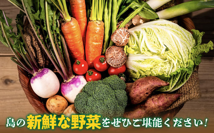 【全6回定期便】旬の野菜セット 10品 《壱岐市》【壱岐市農業協同組合】[JBO045] 野菜 ベジタブル 食材 詰め合わせ 産地直送 野菜セット グルメ 春 夏 秋 冬 旬 サラダ 冷蔵 夏野菜 ス