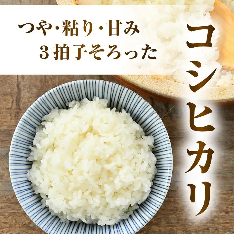 【先行予約】【令和8年産】 お米・味噌セット コシヒカリ 10kg 無洗米（5kg×2袋）保存料、着色料、不使用！自家製 青大豆味噌 1kg（500g×2袋） / 北陸 福井県産 あわら市 ブランド米