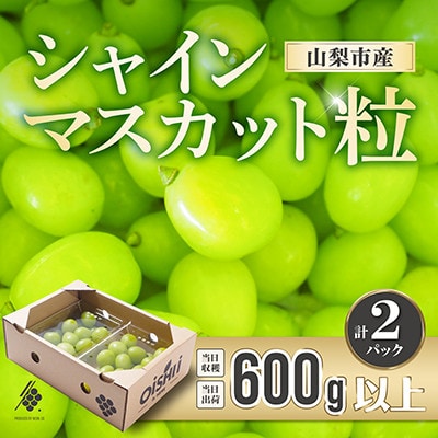 【先行受付2026年発送】 シャインマスカット 粒 600g オーバー 【訳あり】 ぶどう 粒カット【配送不可地域：離島・北海道・沖縄県・四国・九州】