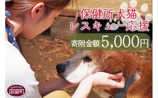 
＜保健所犬猫レスキュー【返礼品なしのご寄附】＞寄付金額5,000円※お礼状をお送りいたします。【 動物愛護 保護 犬 猫 いぬ ねこ イヌ ネコ 動物 どうぶつ ペット 応援 支援 寄付 使い道 寄附のみ いのちのはうす保護家 】
