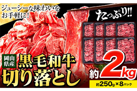 【訳あり】黒毛和牛 切り落とし 小分け 約2kg 約250g×8《60日以内に出荷予定(土日祝除く)》｜牛肉お肉切り落とし牛肉お肉切り落とし牛肉お肉切り落とし牛肉お肉切り落とし牛肉お肉切り落とし牛肉お肉切り落とし牛肉お肉切り落とし牛肉お肉切り落とし牛肉お肉切り落とし牛肉お肉切り落とし牛肉お肉切り落とし牛肉お肉切り落とし牛肉お肉切り落とし牛肉お肉切り落とし牛肉お肉切り落とし牛肉お肉切り落とし牛肉お肉切り落とし牛肉お肉切り落とし牛肉お肉切り落とし牛肉お肉切り落とし牛肉お肉切り落とし牛肉お肉切り落とし牛肉お肉切り