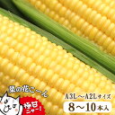 【ふるさと納税】菜の花こーん 高糖度 とうもろこし A3L～A2L サイズ 8～10本【先行予約】生食 コーン ふるさと納税 フルーツ 朝採れ 新鮮 栄養豊富 無農薬 有機栽培 農家直送 季節限定 旬 最高級品質 高評価 送料無料 岩手県 一関市【2025年7月中旬以降より発送予定】