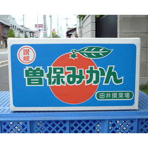 完熟厳選の曽保みかん約10kg FAH-0140