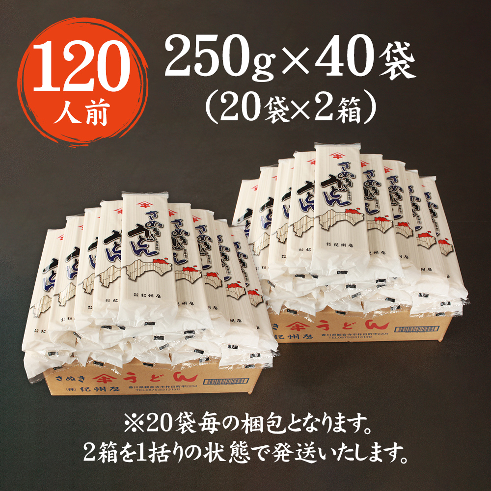 紀州屋 讃岐 うどん 大容量 120人前（3人前×40袋） 乾麺 本場さぬきうどん 麺類 讃岐うどん 国産 香川県 ご当地 高評価 特産品 長期保存 干しうどん さぬきの老舗 製麺所 人気 お取り寄せグルメ