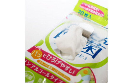かんたん除菌 ウェットティッシュ ノンアルコールタイプ 20枚入り×3P×10セット(合計30個) 高知県土佐市 【テンポイント株式会社】 [BQBI005]