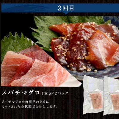 ふるさと納税 室戸市 【定期便3回】カツオとマグロ堪能定期便A かつおのたたき まぐろ切り落とし ネギトロ |  | 02
