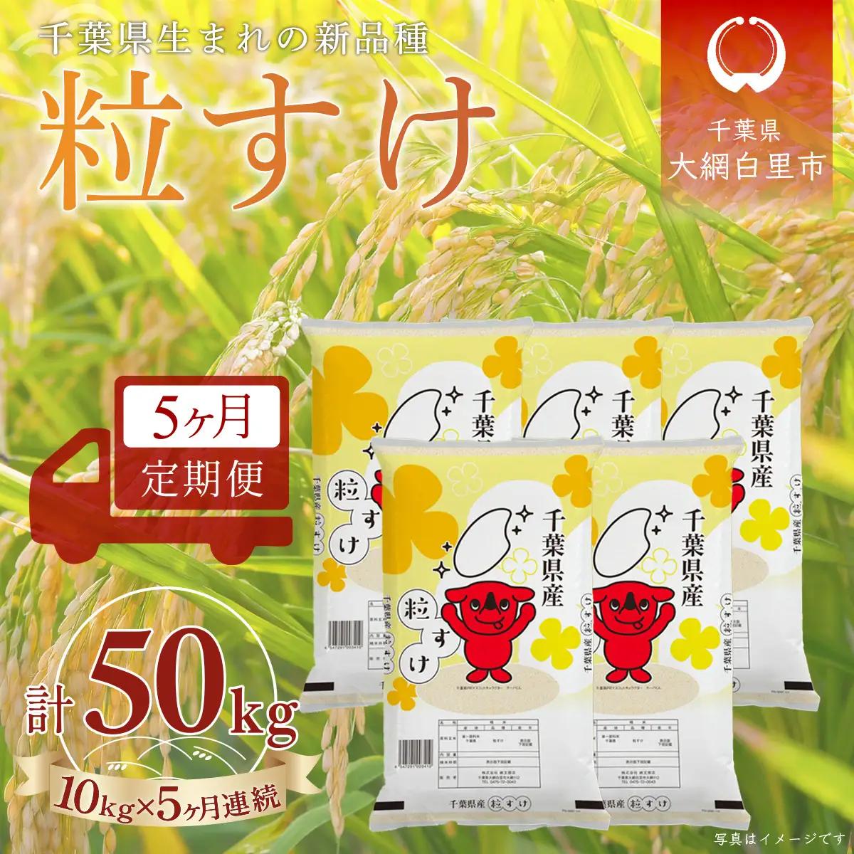 ＜5か月定期便＞ 千葉県産「粒すけ」精米 10kg×5か月連続 計50kg A088