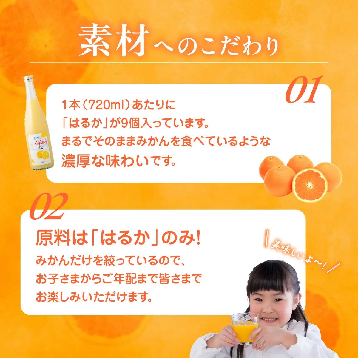はるかジュース 720ml×2本 IKTBN002