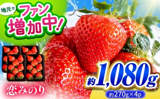【先行予約】こば農園のこだわりいちご　恋みのり 約1080g（約270g：6~11粒×4パック） 【合同会社 こば農園】 [ZFO006]