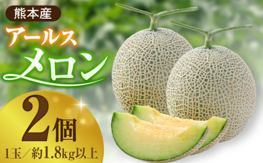 【先行予約】年内発送 クリスマスメロン セット【株式会社 前田ファーム】 [ZCM004]