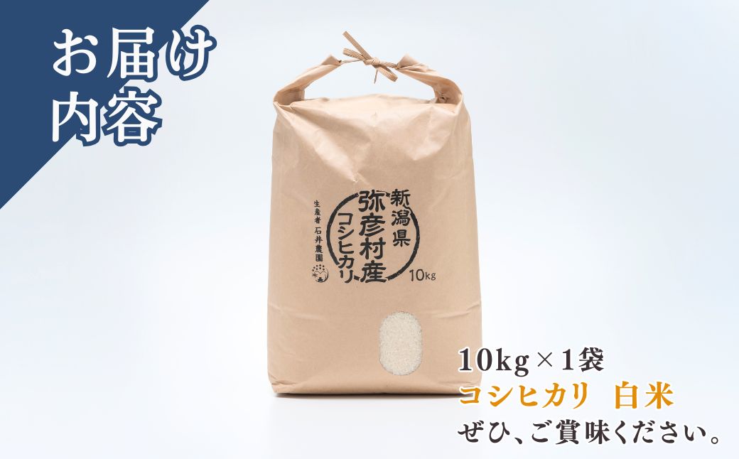 新潟県弥彦村石井農園 令和7年産コシヒカリ＜白米 10kg＞ | 新潟県 弥彦村