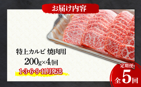 ＜定期便5回＞とちぎ和牛の特上カルビ 焼肉用 800g × 5回【栃木県共通返礼品】| 和牛 定期便 栃木県 茂木町