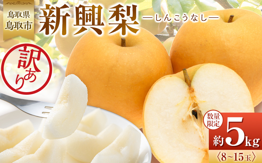 【先行予約】訳あり 数量限定 鳥取県産 新興梨（しんこうなし） 約5kg （8～15玉）≪2026年10月中旬頃出荷≫ 312011_GT002