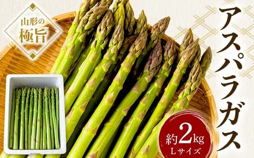 
            《先行予約 2025年度発送》山形の極旨 アスパラガス 約2kg（Lサイズ）  アスパラ 野菜 食品 山形県 FSY-0801
          