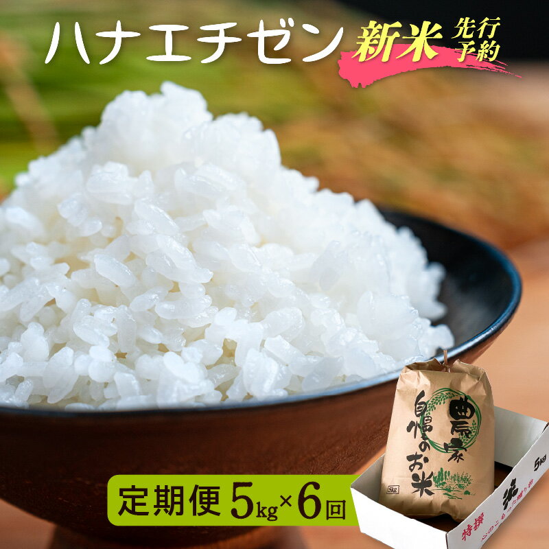 【ふるさと納税】【楽天限定】令和8年【新米】定期便≪6ヶ月連続お届け≫ ハナエチゼン 5kg×6回（計30kg）【華越前 はなえちぜん 人気品種 こしひかり 血統品種】【 玄米 対応可 】【2026年8月下旬以降発送開始！】[e35-h001]
