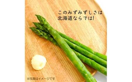 アスパラ 約2.4kg M-2L 【2026年4月下旬～6月下旬迄発送予定】アスパラ 野菜 やさい 旬 北海道