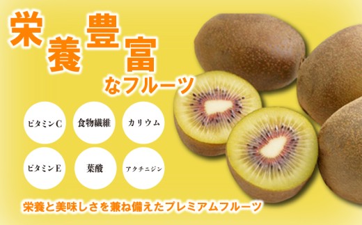 先行予約 キウイ 約2kg 小玉 キウイフルーツ さぬきエンジェルスイート 果物 果実 フルーツ 旬 デザート 選べる 容量 11月上旬～12月上旬 配送 家庭用 贈答用 ギフト プレゼント 香川県 