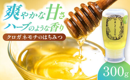 はちみつ クロガネモチ 300g 国産 非加熱 蜂蜜[AEBP001]