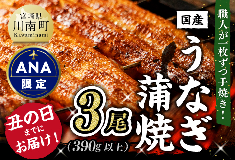 【ANA限定】【丑の日までにお届け！】ひむか 山道うなぎ 蒲焼 3尾分 (390g以上) 【国産 九州産 宮崎県産 うなぎ ウナギ 鰻 鰻の蒲焼き 蒲焼 】 [C08402]