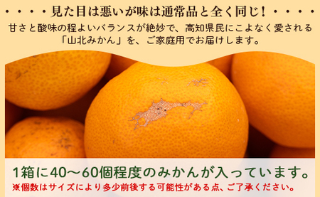 訳あり 山北みかん ご家庭用 約5kg（約40～60個） 山北みらい - 果物 フルーツ 柑橘類 温州みかん ミカン 蜜柑 訳アリ わけあり 生産者応援 甘い おいしい 高知県 香南市 みかんみかんみ