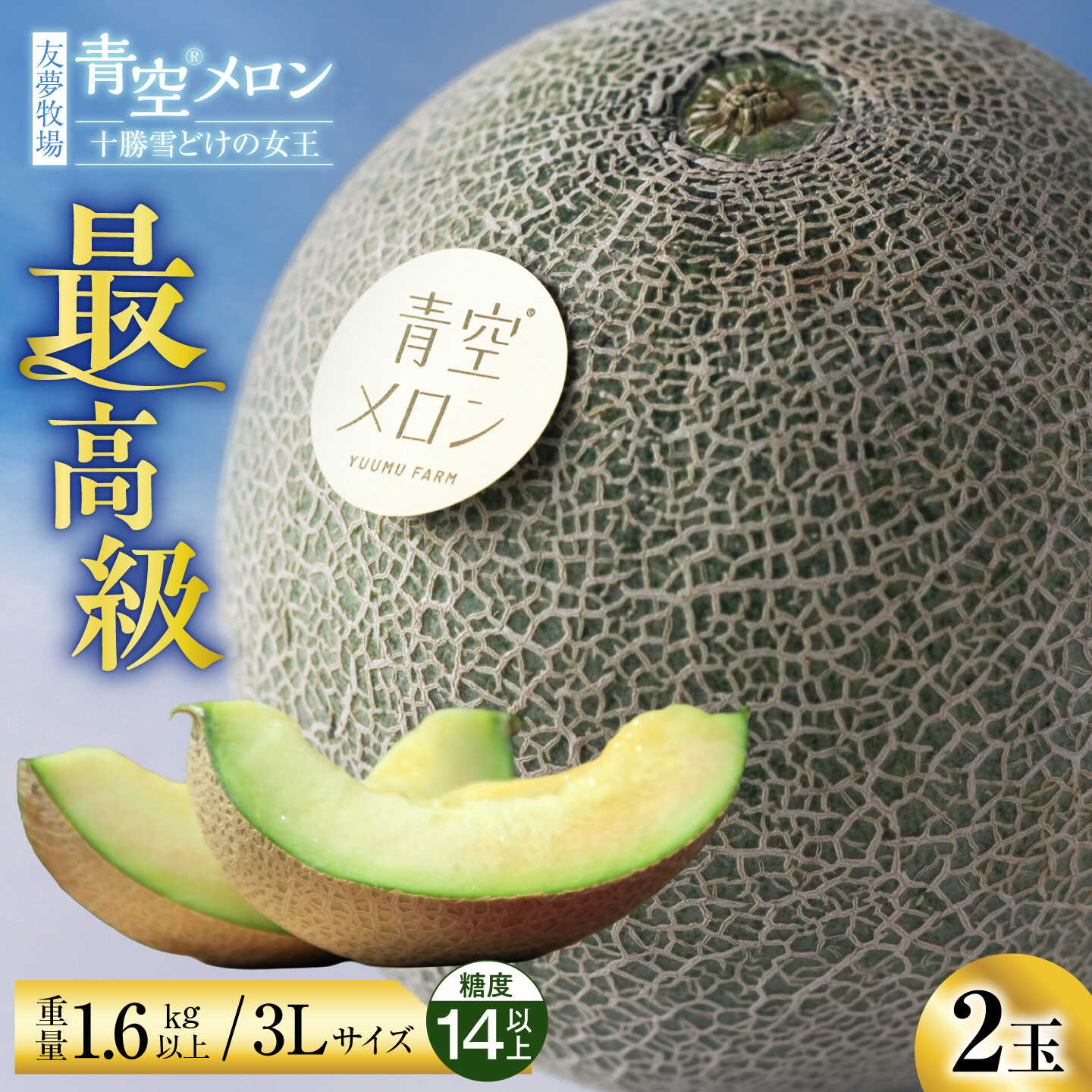 【ふるさと納税】【先行予約】＼最高級／青空メロン 十勝雪どけの女王 2玉（3L 糖度14以上）【R9年5月順次発送】 | 友夢牧場 贈答 ギフト プレゼント [BNBM002]