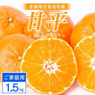 
                  ＜ご家庭用＞甘平 1.5kg 愛媛県 八幡浜産 西宇和地区 扁平で濃い味 新食感＜H25-303＞【1713021】
                