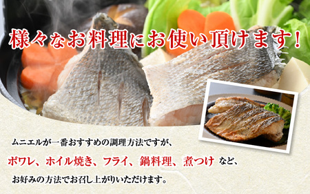 若狭湾の朝獲れ 天然 スズキ 約500g (約250g×2パック) 下処理済!生冷凍!だから人気!【 魚介類 切り身 白身 】[m17-a072]