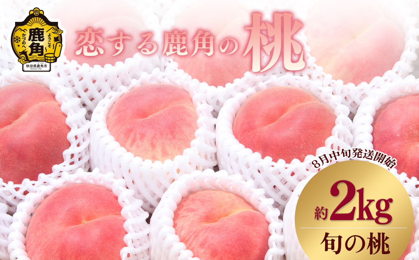 
                  恋する鹿角の桃 旬の桃 約2kg【恋する鹿角カンパニー】 桃 もも モモ 内祝い 完熟 桃 国産桃 贈り物 贈答用 グルメ 秋田 あきた 鹿角市 鹿角 白桃 送料無料 
                