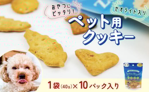 ビスケット 40g×10p 国産 ペットフード おやつ 小分け ペット 犬 いぬ イヌ ドッグ 間食 無添加 小麦 はちみつ ハチミツ 蜂蜜 プレーン ご褒美 動物 オヤツ 犬用 静岡県 沼津市