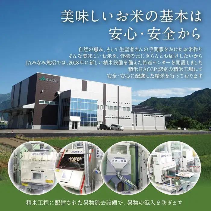 【高島屋選定品】【令和7年産】〈JAみなみ魚沼〉南魚沼産こしひかり5kg【銘柄米 ブランド米 精米 こしひかり コシヒカリ 魚沼産 新潟米 産地直送 お米 米 こめ コメ ご飯 御飯 ごはん】