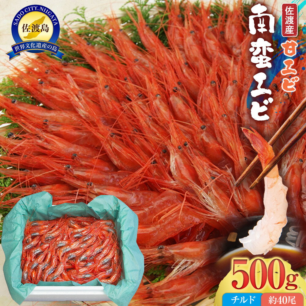 【ふるさと納税】佐渡産 南蛮エビ（甘エビ）チルド 500g（約40尾） | エビ 魚介類 水産 食品 人気 おすすめ 送料無料