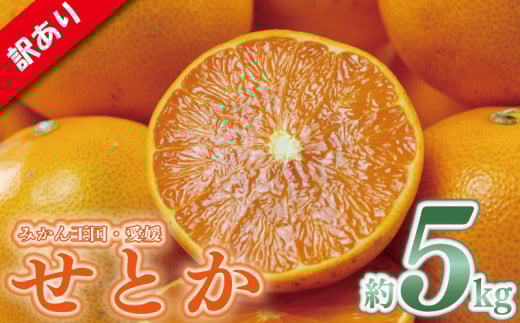 訳あり せとか  約5kg 愛媛みかん 家庭用 せとか セトカ みかん ミカン 蜜柑 mikan 高級柑橘 果物 くだもの フルーツ デザート 果実 青果 国産 産地直送 愛媛県 松山市