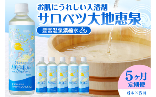 【定期便 5か月連続】 豊富温泉 濃縮温泉水 サロベツ大地恵泉 (1回500ml×6本)