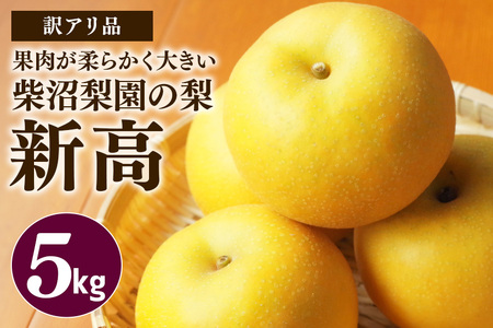 訳あり 柴沼梨園の梨（ 新高 ） 梨 5kg 大玉 6～14個入り 訳アリ 不揃い ナシ なし 国産 茨城 新高梨 秋 旬 フルーツ 果物 先行予約 【9月下旬～10月上旬発送】 秋の味覚 旬の果物 くだもの 大きい サイズ 品種 産地 茨城県産 家庭用 産地直送 茨城県 笠間市 BX-008