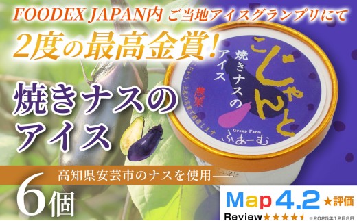 焼きナスのアイス 100ml×6個 アイスクリーム 人気 ご当地アイス 高知県 ナス スイーツ デザート ヘルシー 手作り 炭火焼き 最高金賞 話題 ユニーク 変わり種 ホームパーティー おもてなし 詰め合わせ 贈り物 贈答 ギフト プレゼント 1995年 ロングセラー 日本一 FOODEX JAPAN グランプリ 受賞 リピート 安芸市 高知県
