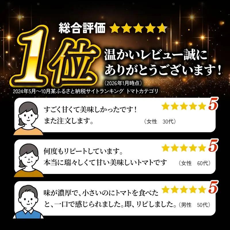 【ミニトマト】【定期便3回 3-5月】 トマト フルーツミニトマト 1kg