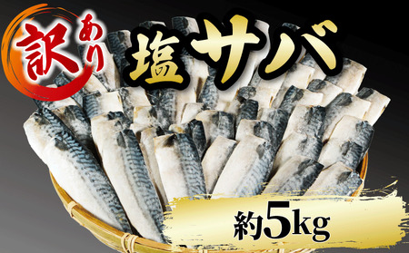 訳あり 塩サバ 約5kg 冷凍 鯖 塩 さば 魚 さかな 海鮮 海産物 おかず ご飯 おすすめ 人気 愛知県 南知多町 【配送不可地域：離島】サバ  鯖 サバ  鯖 サバ  鯖 サバ  鯖 サバ  鯖 サバ  鯖 サバ  鯖 サバ  鯖 サバ  鯖 サバ  鯖 サバ  鯖 サバ  鯖 サバ  鯖 サバ  鯖 サバ  鯖 サバ  鯖 サバ  鯖 サバ  鯖 サバ  鯖 サバ  鯖 サバ  鯖 サバ  鯖 サバ  鯖 サバ  鯖 サバ  鯖 サバ  鯖 サバ  鯖 サバ  鯖 サバ  鯖 サバ  鯖 サバ  鯖