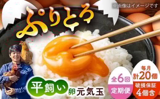 【全6回定期便】平飼い新鮮たまご 元気玉 計20個(10個×2パック) / 卵 ぷりぷり 新鮮 平飼い 自然飼育 コク 甘み 玉子 オムレツ たまごかけごはん 朝食 朝ごはん 鶏卵 平飼い 濃厚 こく 熊本県 菊陽町【ぴよっこファーム】 [BHAP004]