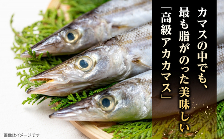 一本釣り　極上赤カマスの干物《壱岐市》【丸昇水産】カマス かます 朝食 海鮮 ひもの 冷凍配送[JFZ003]