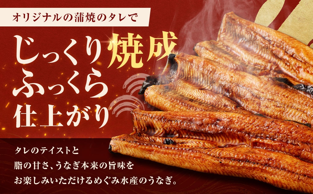 めぐみうなぎ蒲焼き6尾