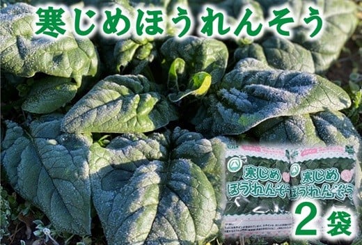 
             【11月下旬～２月下旬 期間限定】 寒じめほうれんそう 約210g×2袋 お試し 野菜 ほうれん草 ホウレンソウ
          