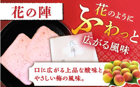 【全国菓子大博覧会 審査総長賞受賞】夢本陣 10枚（2種×5枚） /恵比須堂[UBQ009]