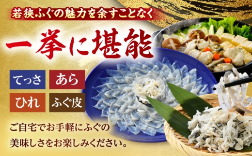 若狭ふぐ お手軽 鍋 刺身 セット [冷蔵](未冷凍) 2人前｜【TVで紹介されました : 旅サラダ】 てっさ てっちり （とらふぐ 刺身）福井県産 産地直送 【配送不可地域：北海道・沖縄・離島】  