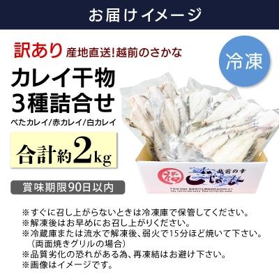 ふるさと納税 越前町 【越前海岸・美味直送シリーズ】　訳あり　越前町産 カレイ一夜干し 2kg |  | 03