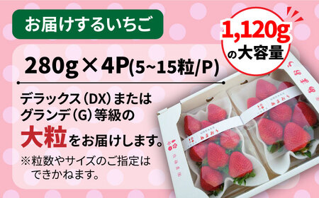 【先行予約受付中・2024年1月下旬より順次発送】【農家直送！】糸島産 春 あまおう 280g × 4パック (DXおよびGサイズ) 糸島市 / 後藤農園 [AML002] いちご 苺 イチゴ あまお