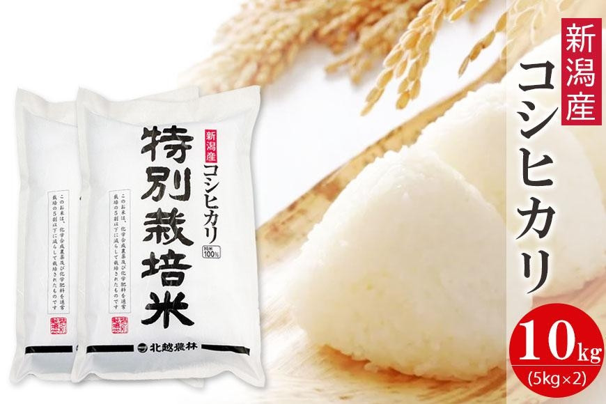 【令和7年産】新潟産コシヒカリ 特別栽培米 10kg（5kg×2袋） 精米 白米